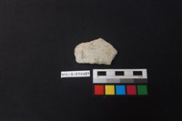 陶片藏品圖，第1張