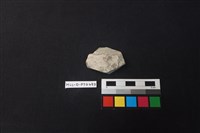 陶片藏品圖，第1張