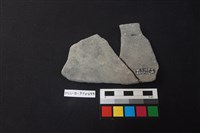 陶片藏品圖，第2張