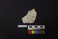 陶片藏品圖，第2張