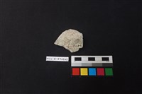 陶片藏品圖，第2張