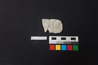 陶片藏品圖，第1張