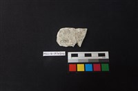 陶片藏品圖，第2張