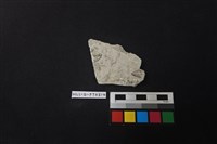 陶片藏品圖，第2張