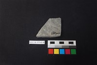 陶片藏品圖，第2張