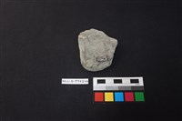 陶片藏品圖，第2張