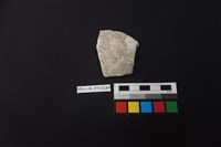 陶片藏品圖，第1張