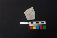 陶片藏品圖，第2張