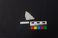 陶片藏品圖，第2張