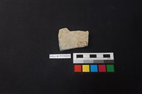 陶片藏品圖，第2張