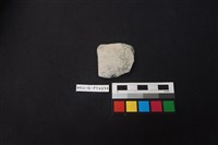 陶片藏品圖，第1張