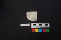 陶片藏品圖，第2張