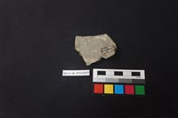 陶片藏品圖，第2張