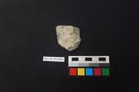 陶片藏品圖，第1張