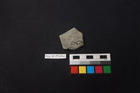 陶片藏品圖，第2張