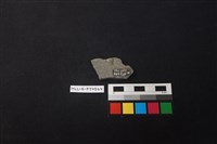 陶片藏品圖，第2張