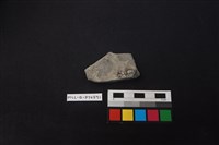 陶片藏品圖，第2張