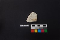 陶片藏品圖，第2張