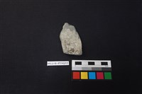 陶片藏品圖，第2張