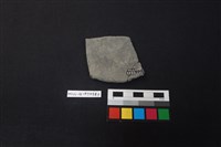 陶片藏品圖，第2張