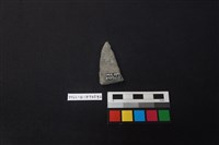 陶片藏品圖，第2張