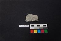 陶片藏品圖，第2張