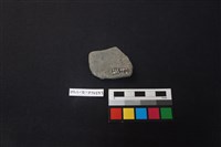 陶片藏品圖，第2張