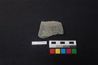 陶片藏品圖，第2張