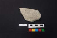 陶片藏品圖，第1張