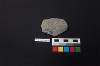 陶片藏品圖，第2張