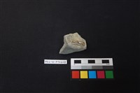 陶片藏品圖，第2張