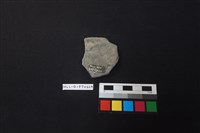 陶片藏品圖，第2張