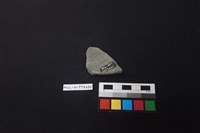 陶片藏品圖，第2張