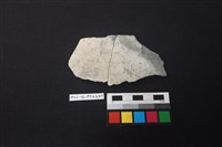 陶片藏品圖，第1張