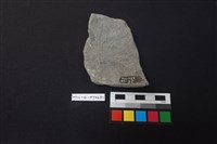 陶片藏品圖，第2張