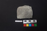 陶片藏品圖，第1張