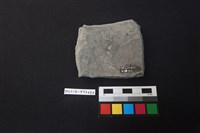 陶片藏品圖，第2張