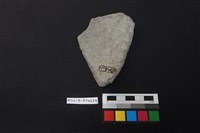 陶片藏品圖，第2張