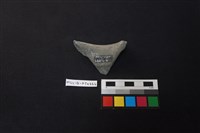 陶片藏品圖，第2張