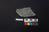 陶片藏品圖，第2張