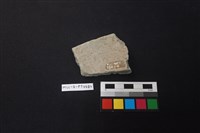 陶片藏品圖，第2張