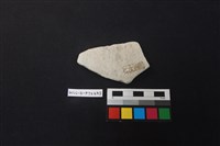 陶片藏品圖，第2張