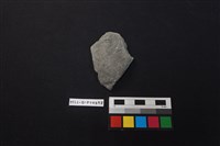 陶片藏品圖，第1張