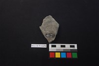 陶片藏品圖，第2張