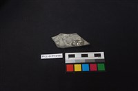 陶片藏品圖，第2張