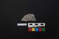 陶片藏品圖，第1張