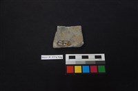 陶片藏品圖，第2張