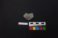 陶片藏品圖，第2張