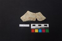 陶片藏品圖，第2張