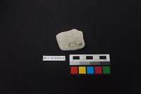 陶片藏品圖，第2張